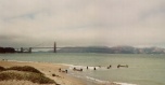 Golden Gate Bridge & The Presidio